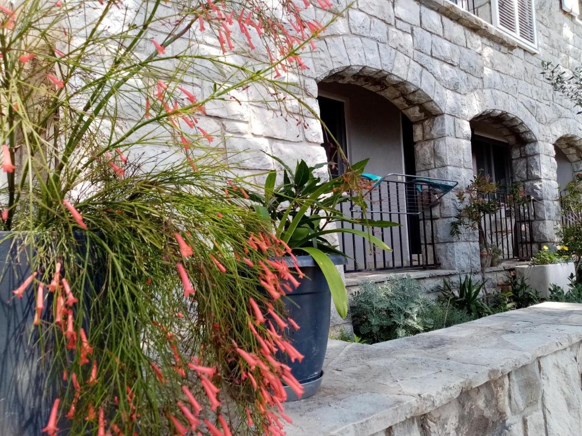 Apartment Zizi Omiš Eksteriør billede